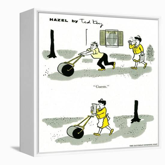 Hazel Cartoon-Ted Key-Framed Premier Image Canvas