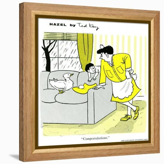 Hazel Cartoon-Ted Key-Framed Premier Image Canvas