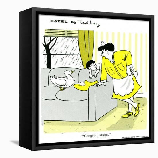 Hazel Cartoon-Ted Key-Framed Premier Image Canvas