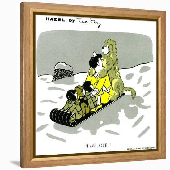 Hazel Cartoon-Ted Key-Framed Premier Image Canvas