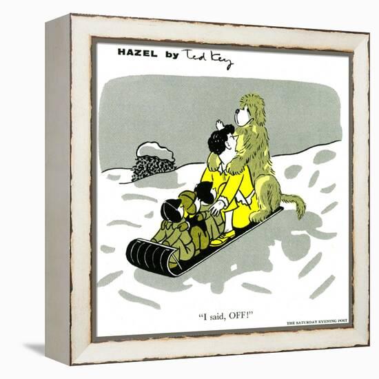 Hazel Cartoon-Ted Key-Framed Premier Image Canvas