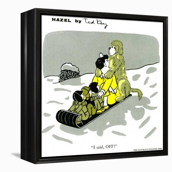 Hazel Cartoon-Ted Key-Framed Premier Image Canvas