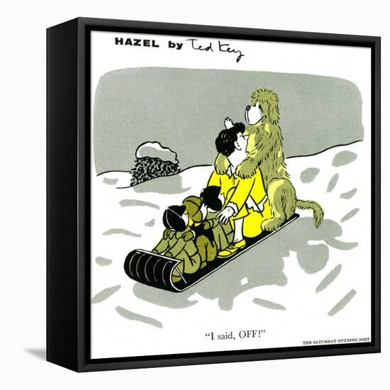 Hazel Cartoon-Ted Key-Framed Premier Image Canvas