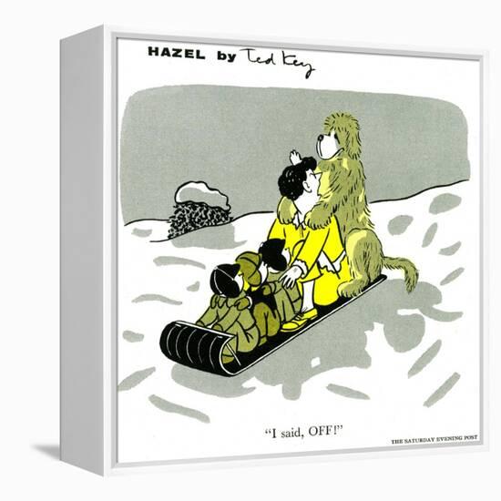 Hazel Cartoon-Ted Key-Framed Premier Image Canvas