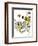 Hazel Cartoon-Ted Key-Framed Giclee Print