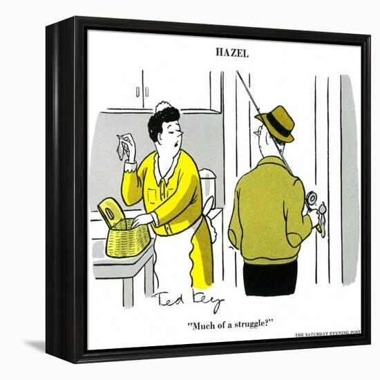 Hazel Cartoon-Ted Key-Framed Premier Image Canvas