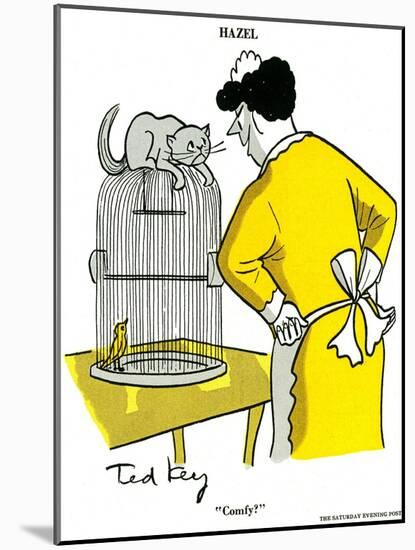 Hazel Cartoon-Ted Key-Mounted Giclee Print