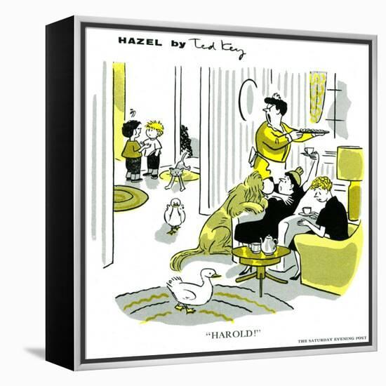 Hazel Cartoon-Ted Key-Framed Premier Image Canvas