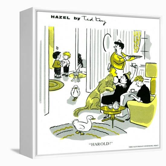 Hazel Cartoon-Ted Key-Framed Premier Image Canvas