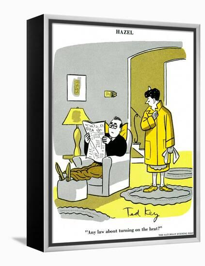 Hazel Cartoon-Ted Key-Framed Premier Image Canvas