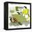 Hazel Cartoon-Ted Key-Framed Premier Image Canvas