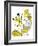 Hazel Cartoon-Ted Key-Framed Giclee Print