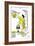 Hazel Cartoon-Ted Key-Framed Giclee Print