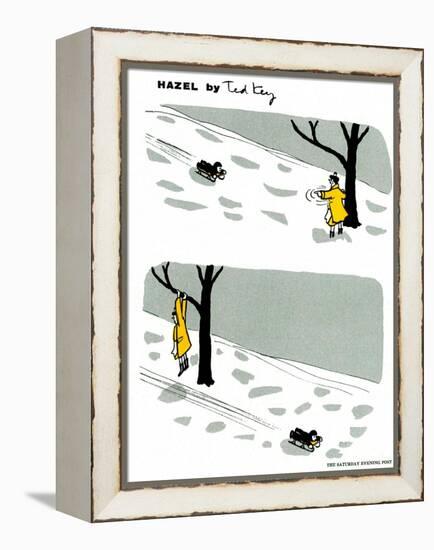 Hazel Cartoon-Ted Key-Framed Premier Image Canvas