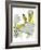 Hazel Cartoon-Ted Key-Framed Giclee Print