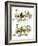 Hazel Cartoon-Ted Key-Framed Giclee Print