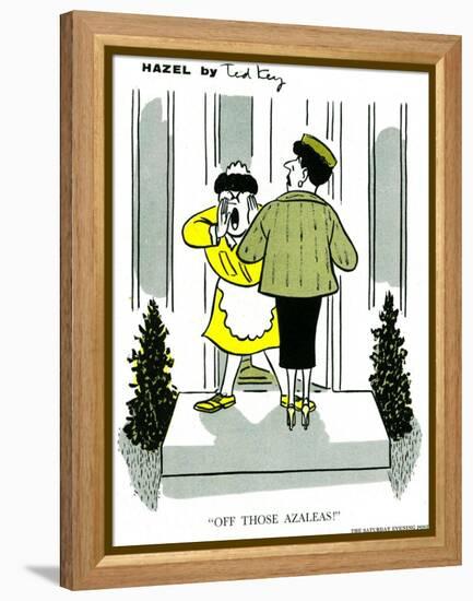 Hazel Cartoon-Ted Key-Framed Premier Image Canvas