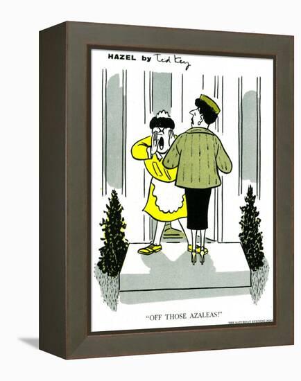 Hazel Cartoon-Ted Key-Framed Premier Image Canvas