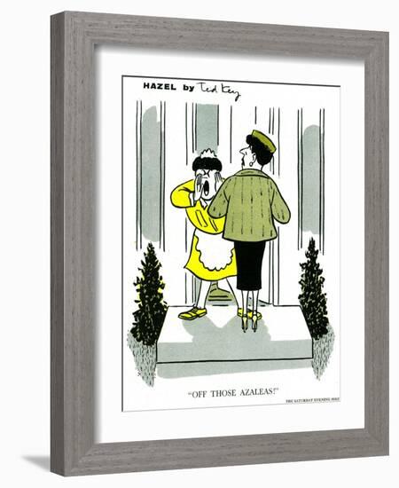 Hazel Cartoon-Ted Key-Framed Giclee Print