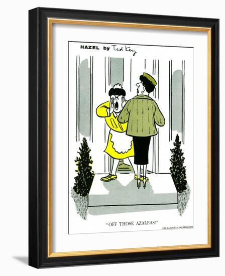 Hazel Cartoon-Ted Key-Framed Giclee Print