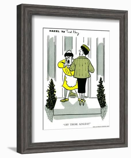 Hazel Cartoon-Ted Key-Framed Giclee Print