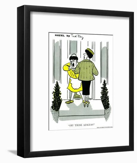 Hazel Cartoon-Ted Key-Framed Giclee Print