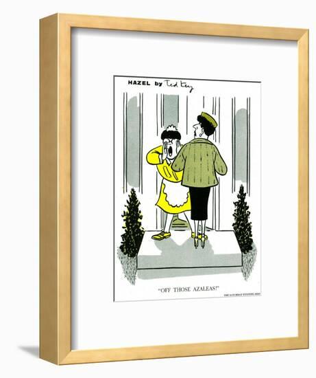 Hazel Cartoon-Ted Key-Framed Giclee Print