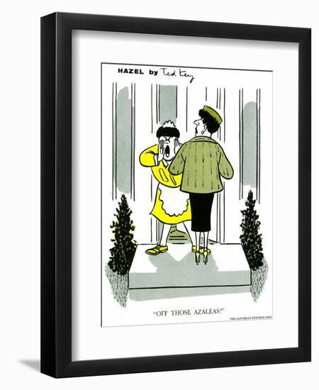 Hazel Cartoon-Ted Key-Framed Giclee Print