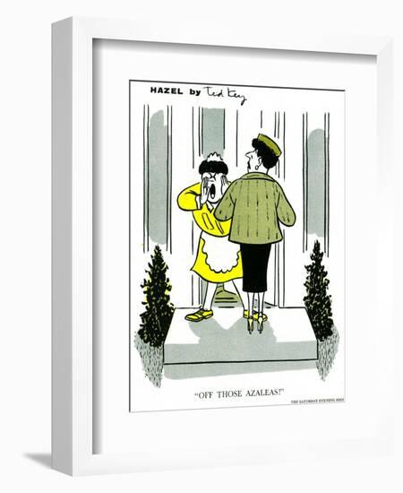 Hazel Cartoon-Ted Key-Framed Giclee Print