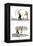 Hazel Cartoon-Ted Key-Framed Premier Image Canvas