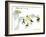 Hazel Cartoon-Ted Key-Framed Giclee Print