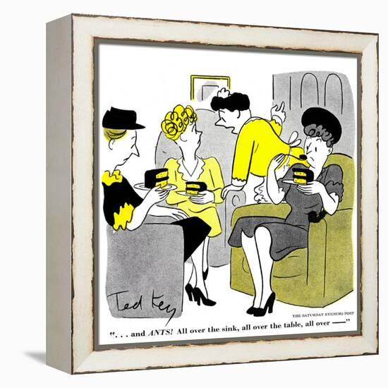 Hazel Cartoon-Ted Key-Framed Premier Image Canvas