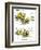 Hazel Cartoon-Ted Key-Framed Giclee Print