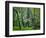 Hazel Mountain Overlook, Virginia, USA-Jay O'brien-Framed Photographic Print