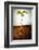 Hazel Tree Seedling and Exposed Root-David Aubrey-Framed Photographic Print