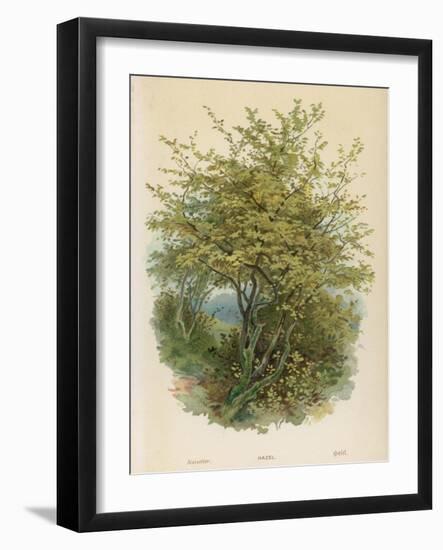 Hazel Tree-null-Framed Art Print