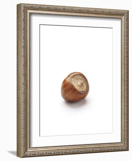 Hazelnut-Jon Stokes-Framed Photographic Print