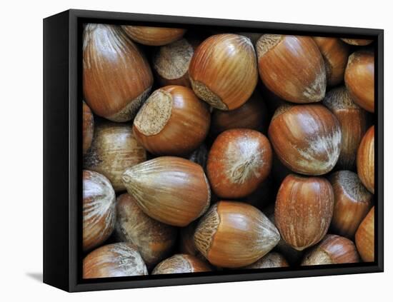 Hazelnuts, Belgium-Philippe Clement-Framed Premier Image Canvas