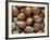 Hazelnuts, Belgium-Philippe Clement-Framed Photographic Print