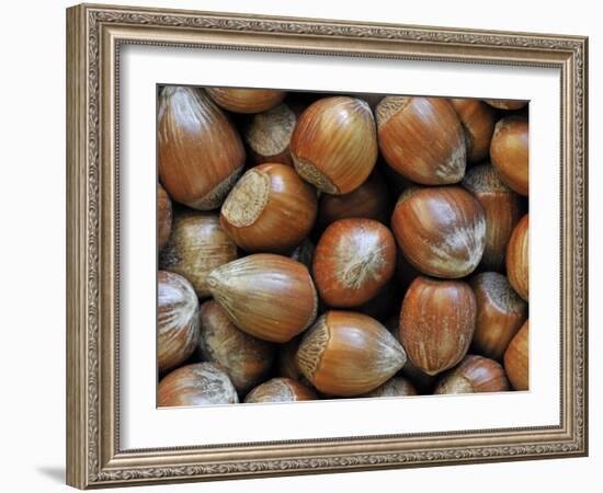 Hazelnuts, Belgium-Philippe Clement-Framed Photographic Print