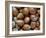 Hazelnuts, Belgium-Philippe Clement-Framed Photographic Print