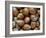 Hazelnuts, Belgium-Philippe Clement-Framed Photographic Print