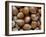 Hazelnuts, Belgium-Philippe Clement-Framed Photographic Print