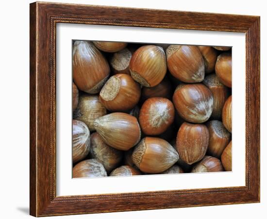 Hazelnuts, Belgium-Philippe Clement-Framed Photographic Print