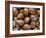 Hazelnuts, Belgium-Philippe Clement-Framed Photographic Print