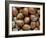 Hazelnuts, Belgium-Philippe Clement-Framed Photographic Print