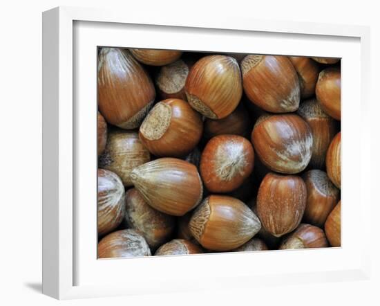 Hazelnuts, Belgium-Philippe Clement-Framed Photographic Print