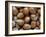 Hazelnuts, Belgium-Philippe Clement-Framed Photographic Print