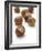 Hazelnuts-Jon Stokes-Framed Photographic Print