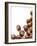 Hazelnuts-Jon Stokes-Framed Photographic Print